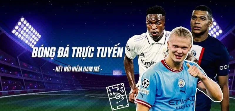 Chính sách về bản quyền đối với người xem